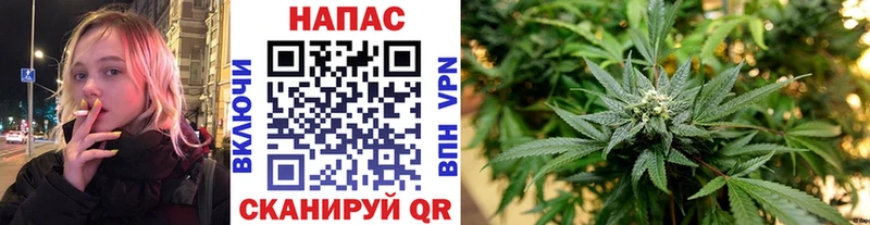 мега онион Белый Бошки марихуана гибрид